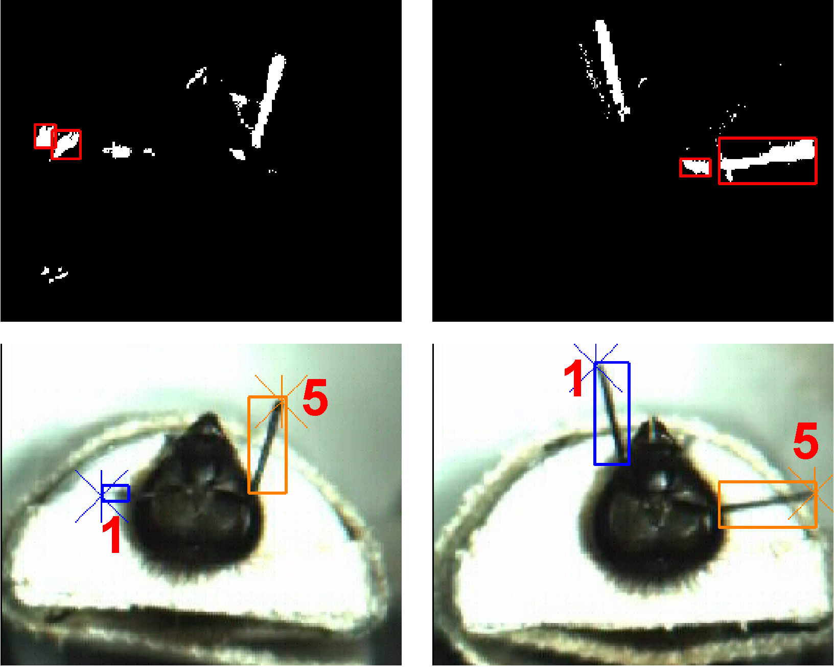 Automatic framework for tracking honeybeeś antennae and mouthparts from low framerate video