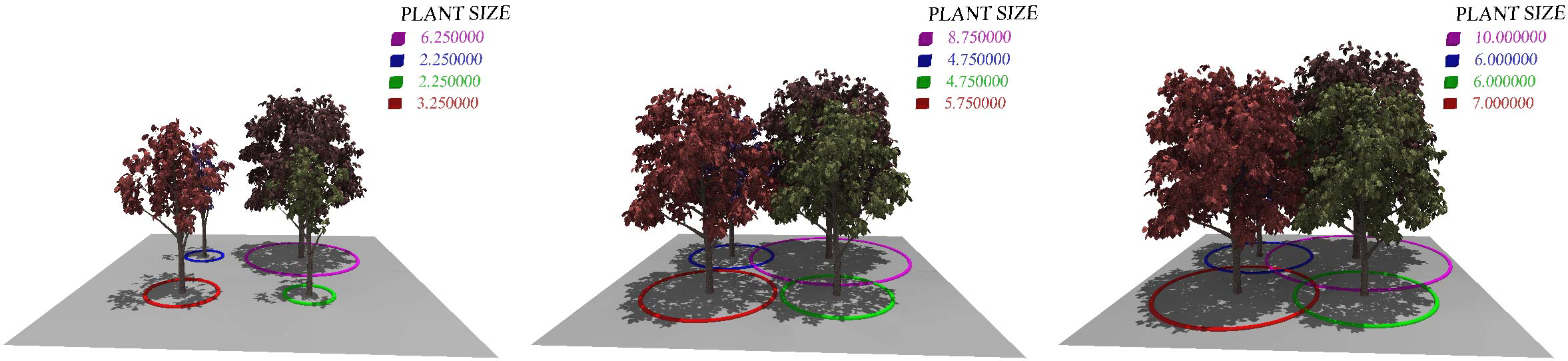 Teaser of Modeling and Visualization of symmetric and asymmetric plant competition