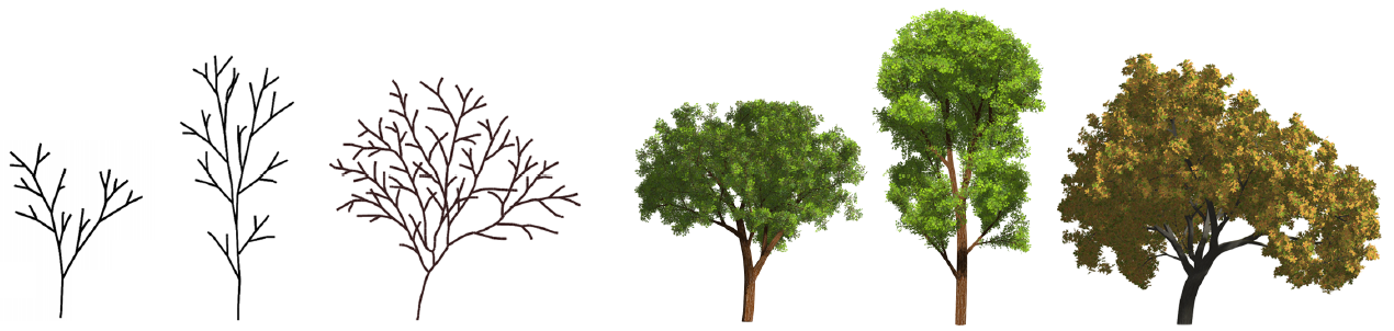 Teaser of Sketch-based Tree Modeling Using Markov Random Field