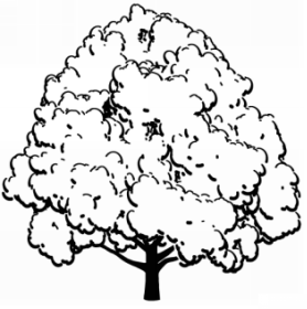 Computer-generated Pen-and-ink Illustration of Trees