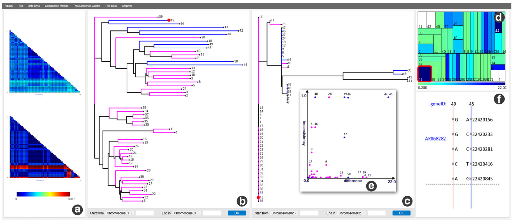 Teaser of VEGA: visual comparison of phylogenetic trees for evolutionary genome analysis