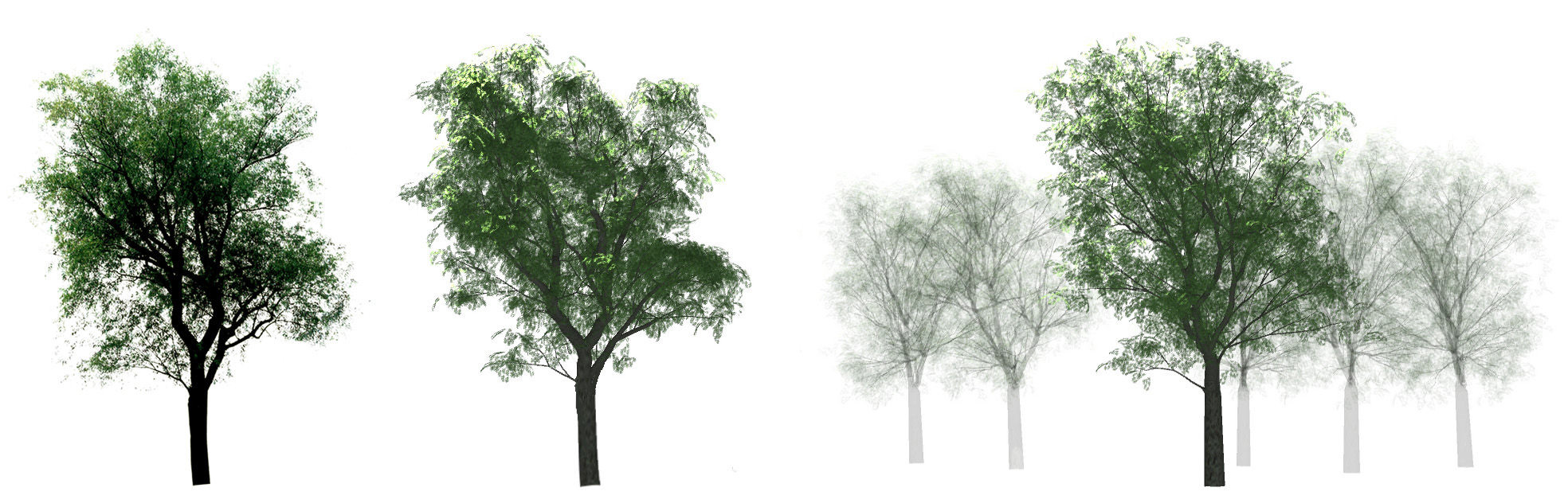 Teaser of Modeling and Generating Moving Trees from Video