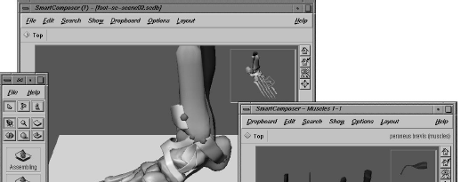 Teaser of A 3D Puzzle for Learning Anatomy