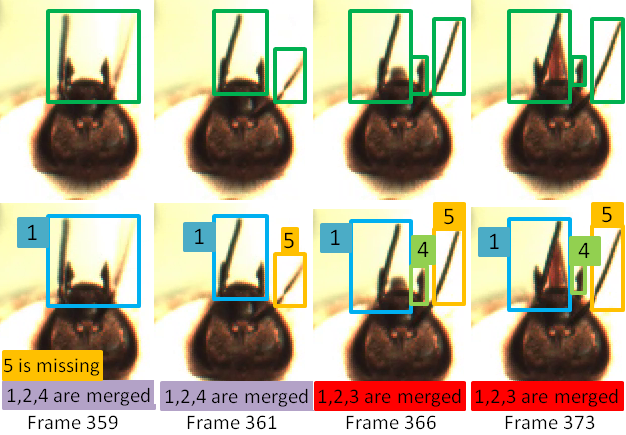 Interactive Framework for Insect Tracking with Active Learning
