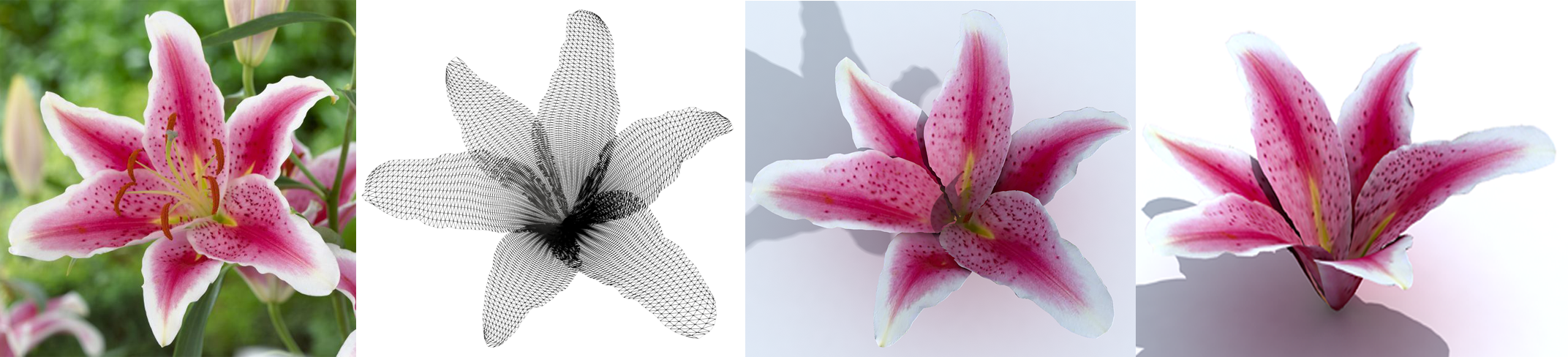 Teaser of Flower Reconstruction from a Single Photo