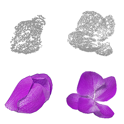 4D Reconstruction of Blooming Flowers