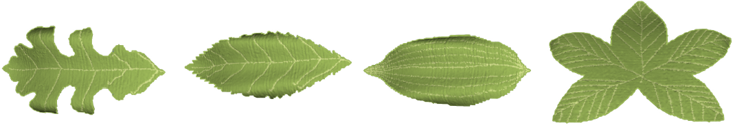 Teaser of Procedural Techniques for Simulating the Growth of Plant Leaves and Adapting Venation Patterns