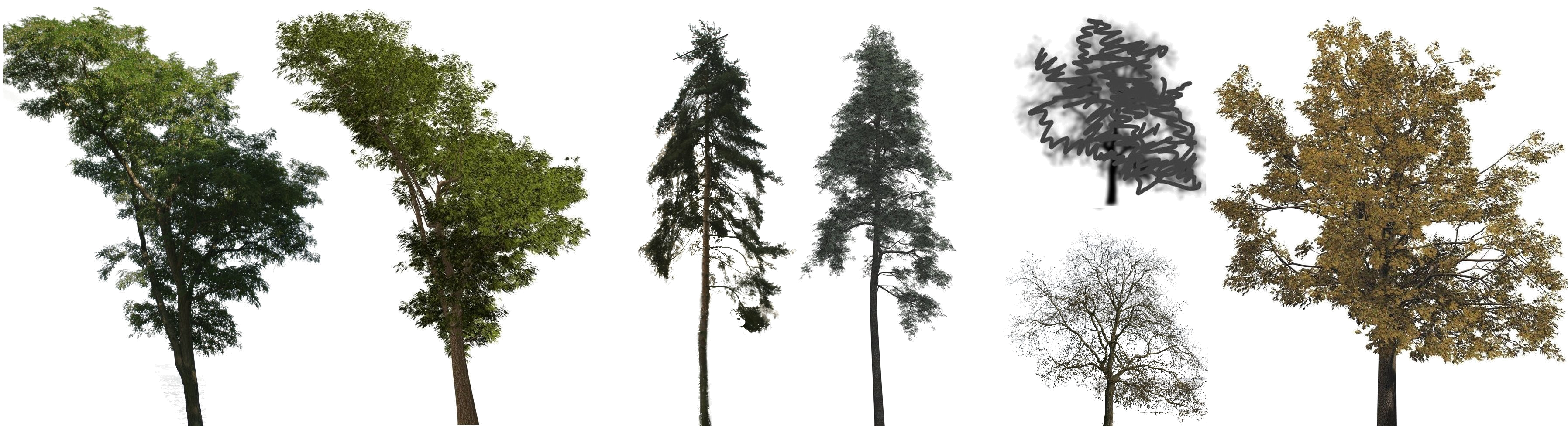 Teaser of Approximate Image-based Tree-modeling Using Particle Flows