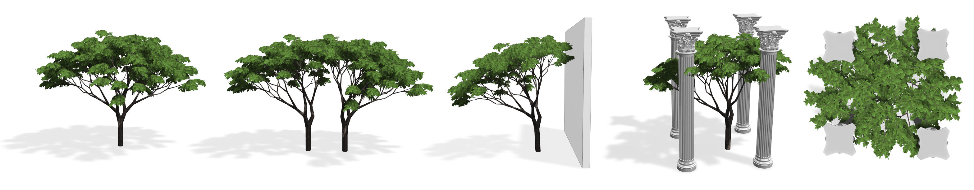 Teaser of Plastic Trees: Interactive Self-adapting Botanical Tree Models